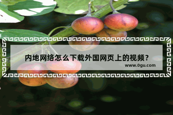 内地网络怎么下载外国网页上的视频？