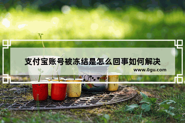 支付宝账号被冻结是怎么回事如何解决