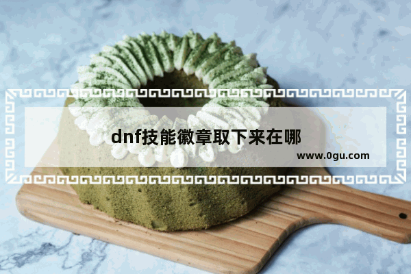 dnf技能徽章取下来在哪