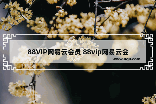 88VIP网易云会员 88vip网易云会员绑定