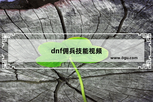 dnf佣兵技能视频