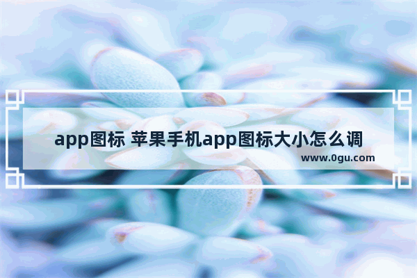 app图标 苹果手机app图标大小怎么调小