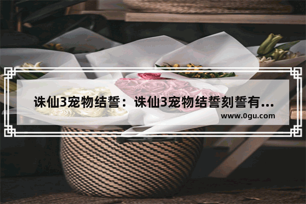 诛仙3宠物结誓：诛仙3宠物结誓刻誓有什么用?
