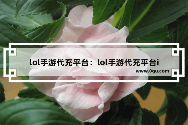 lol手游代充平台：lol手游代充平台ios