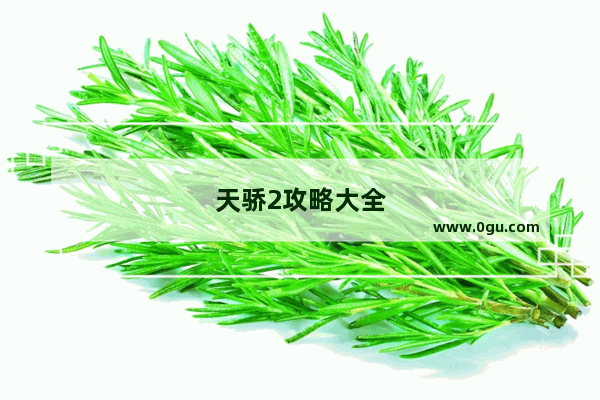 天骄2攻略大全