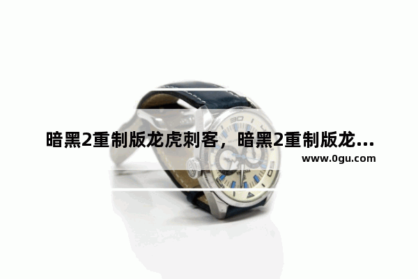 暗黑2重制版龙虎刺客，暗黑2重制版龙虎刺客怎么攻击