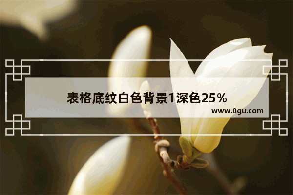 表格底纹白色背景1深色25%