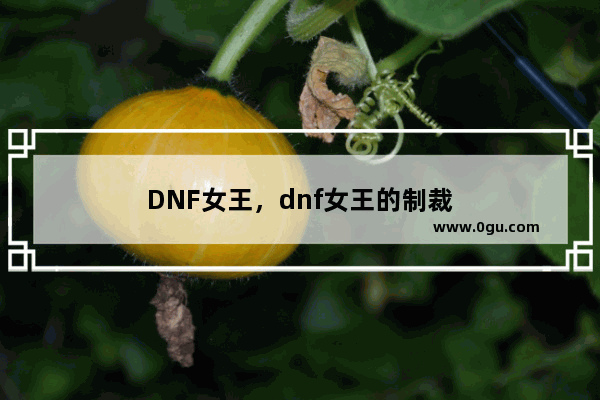 DNF女王，dnf女王的制裁