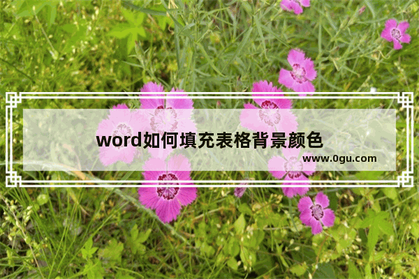 word如何填充表格背景颜色