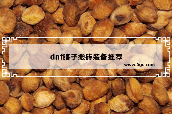 dnf瞎子搬砖装备推荐