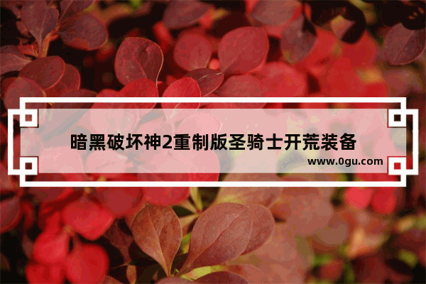 暗黑破坏神2重制版圣骑士开荒装备
