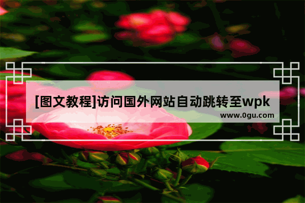 [图文教程]访问国外网站自动跳转至wpkg.org怎么去除?