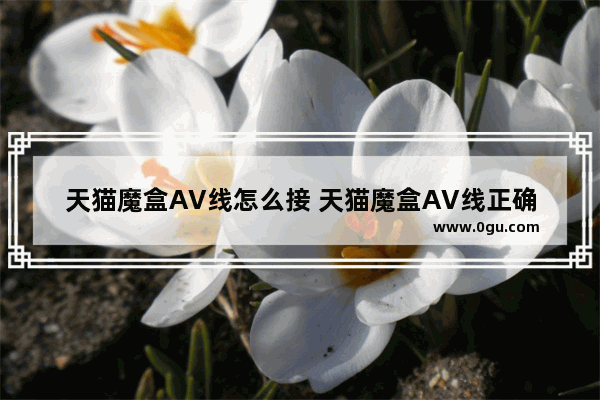 天猫魔盒AV线怎么接 天猫魔盒AV线正确接法教程