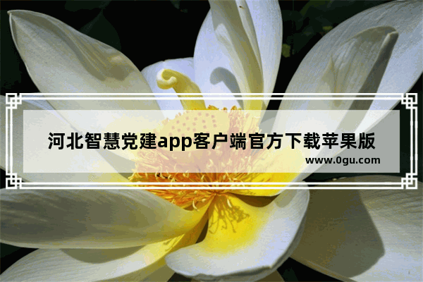 河北智慧党建app客户端官方下载苹果版