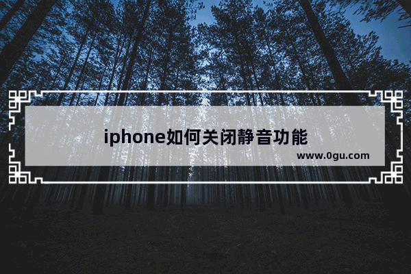 iphone如何关闭静音功能