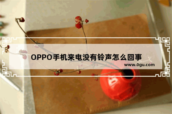 OPPO手机来电没有铃声怎么回事