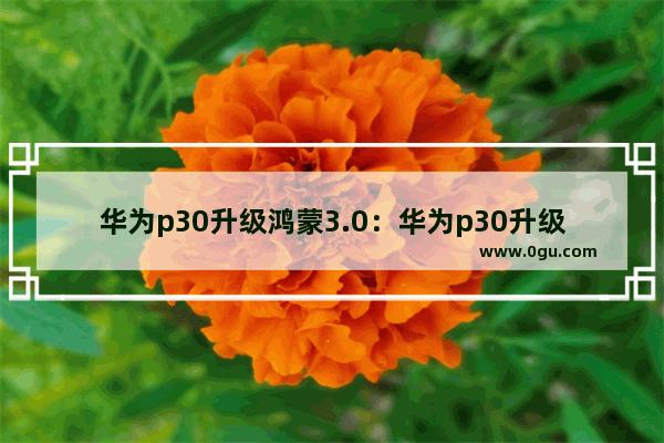 华为p30升级鸿蒙3.0：华为p30升级鸿蒙3.0系统后问题