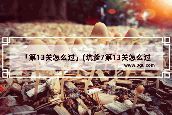 「第13关怎么过」(坑爹7第13关怎么过)