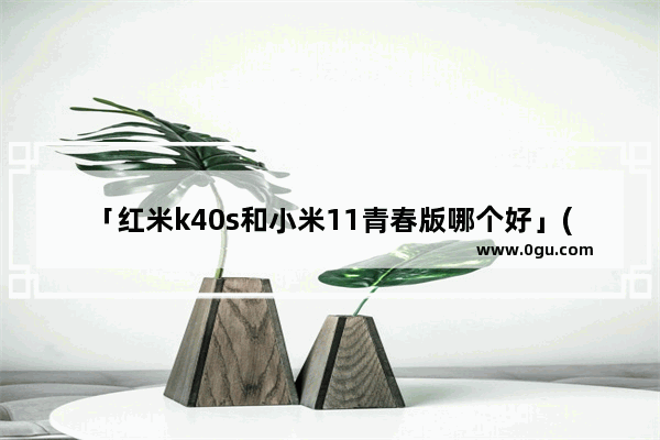 「红米k40s和小米11青春版哪个好」(红米K40S和小米11青春版哪个好?)
