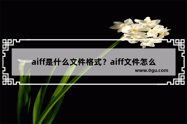 aiff是什么文件格式？aiff文件怎么打开？