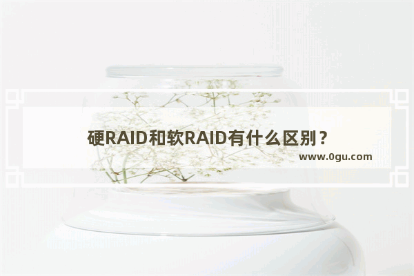硬RAID和软RAID有什么区别?