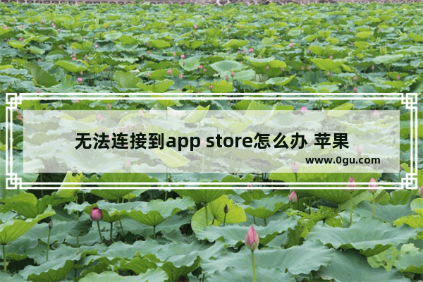 无法连接到app store怎么办 苹果平板无法连接到app store怎么办