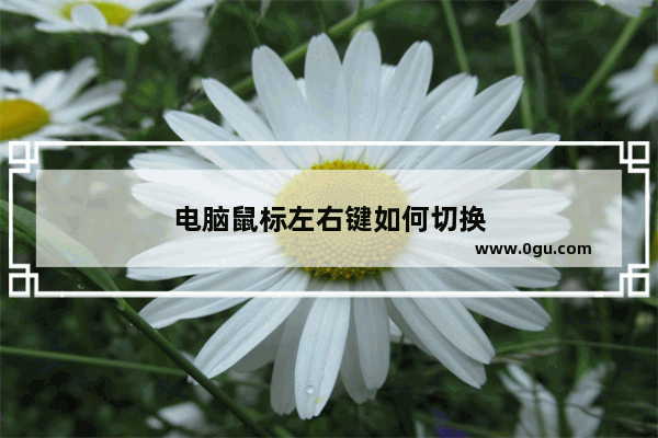 电脑鼠标左右键如何切换