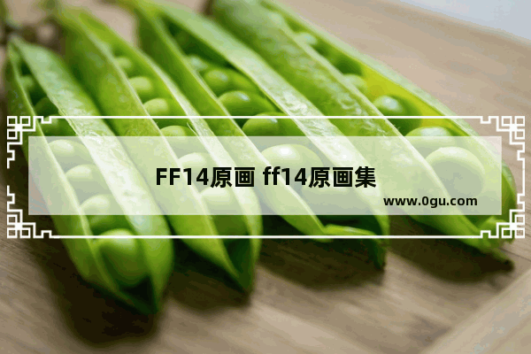 FF14原画 ff14原画集