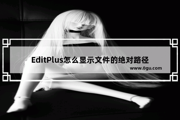 EditPlus怎么显示文件的绝对路径