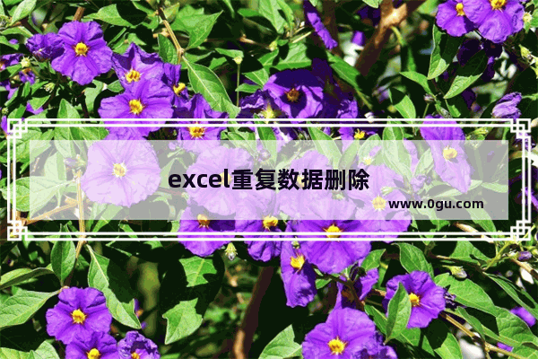 excel重复数据删除