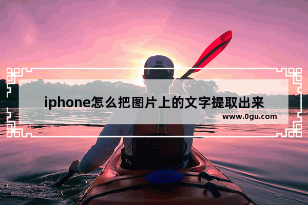 iphone怎么把图片上的文字提取出来