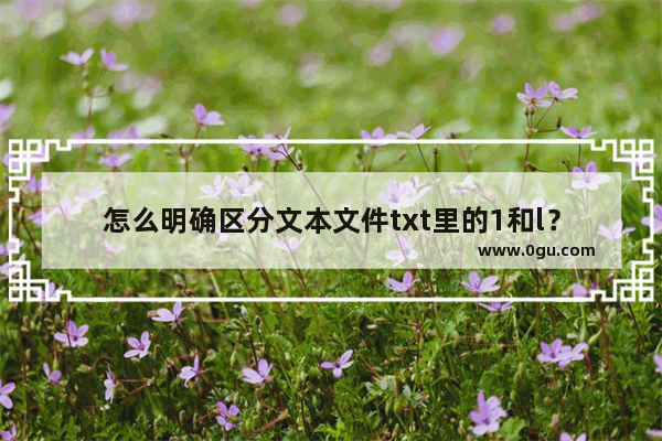 怎么明确区分文本文件txt里的1和l？