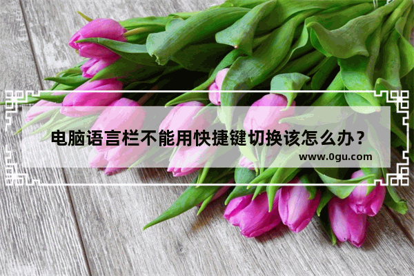 电脑语言栏不能用快捷键切换该怎么办？