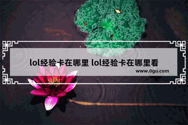 lol经验卡在哪里 lol经验卡在哪里看