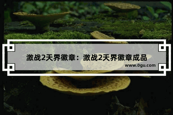 激战2天界徽章：激战2天界徽章成品