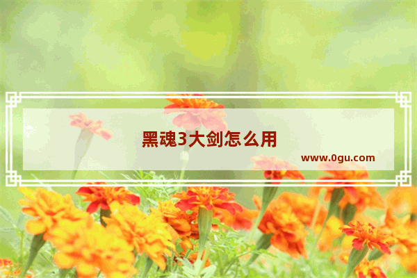 黑魂3大剑怎么用