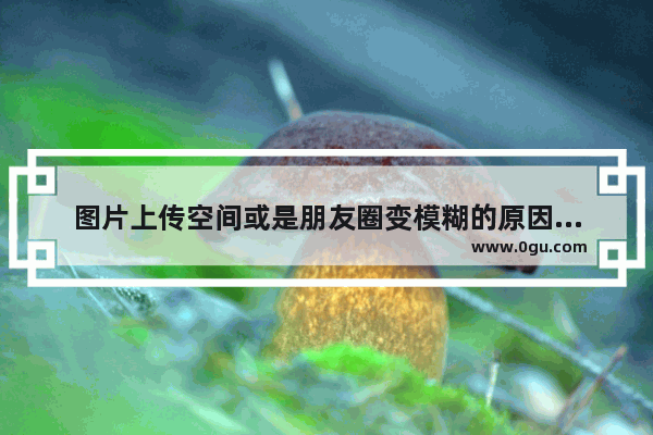 图片上传空间或是朋友圈变模糊的原因以及解决方法
