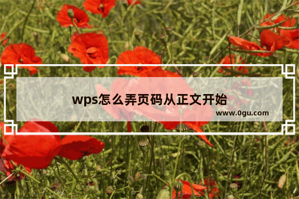 wps怎么弄页码从正文开始