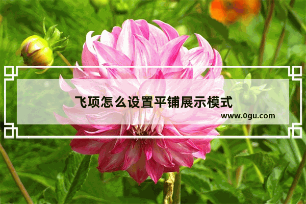 飞项怎么设置平铺展示模式