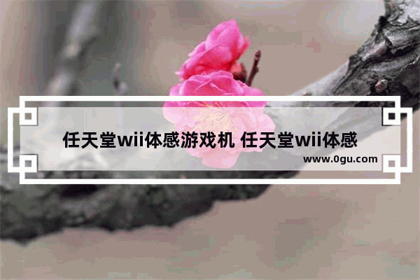 任天堂wii体感游戏机 任天堂wii体感游戏机体感枪坏了怎么拆装?