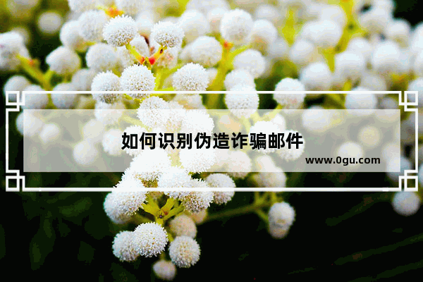 如何识别伪造诈骗邮件