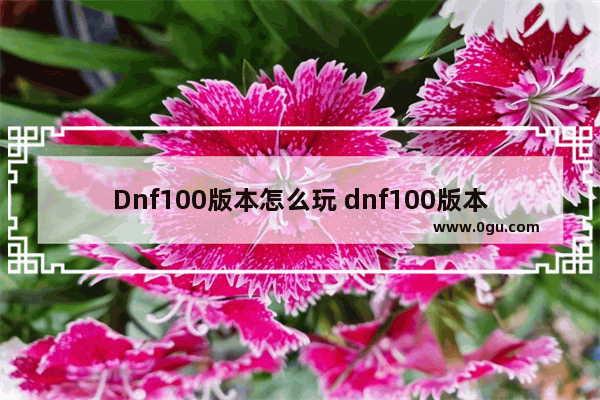 Dnf100版本怎么玩 dnf100版本怎么玩家之间如何交易金币