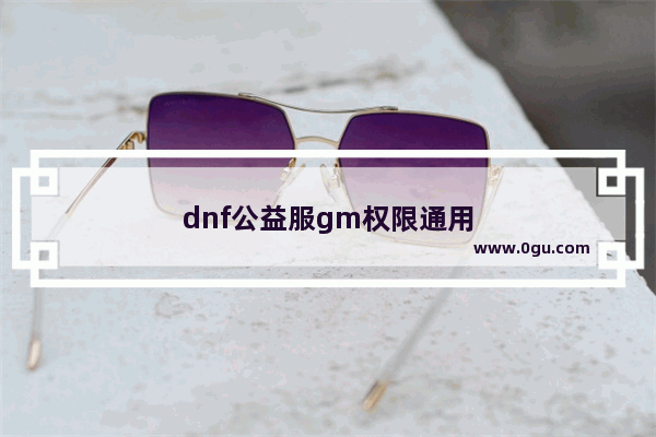 dnf公益服gm权限通用