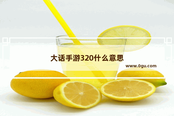 大话手游320什么意思