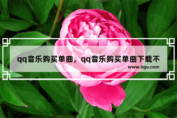 qq音乐购买单曲，qq音乐购买单曲下载不了