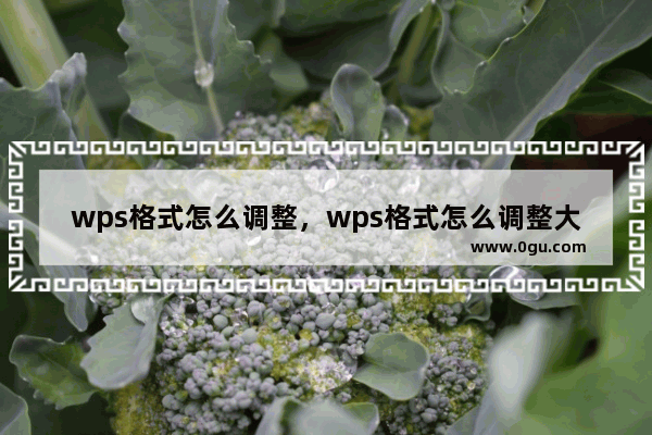 wps格式怎么调整，wps格式怎么调整大小