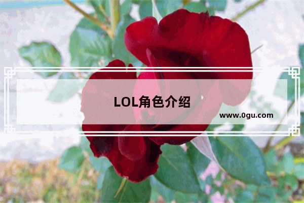 LOL角色介绍