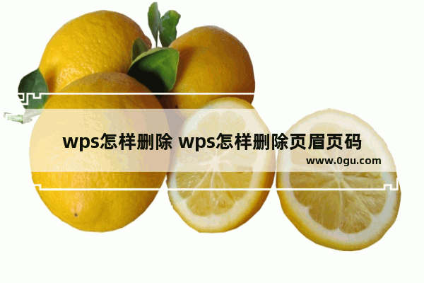 wps怎样删除 wps怎样删除页眉页码