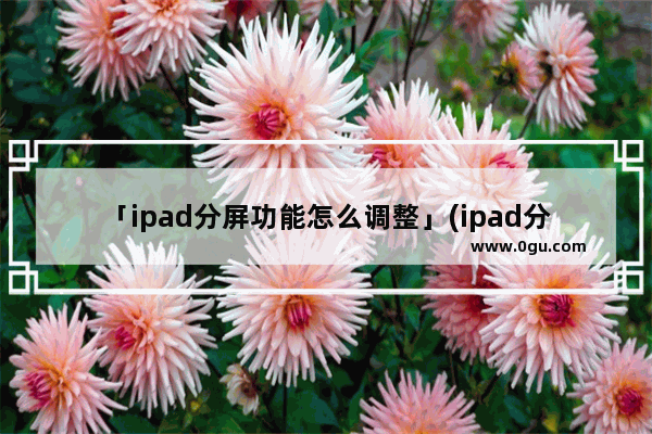 「ipad分屏功能怎么调整」(ipad分屏功能怎么调整大小)