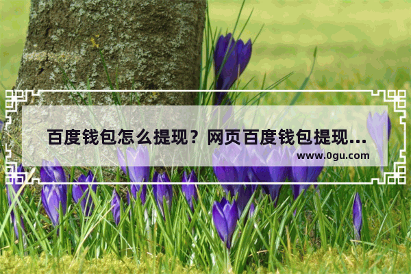 百度钱包怎么提现？网页百度钱包提现步骤图解